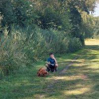 Hondenopvang Mortsel: Victor