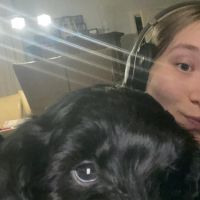 Hondenuitlaatdienst Kessel-Lo: Laura