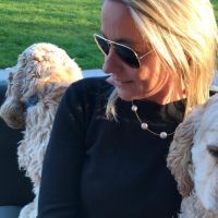 Hondenopvang Kuurne: De dog farm