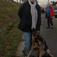 Hondenuitlaatdienst Beveren (Oost-Vlaanderen): Femke