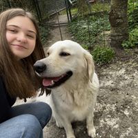 Hondensitter Rumbeke: Jill