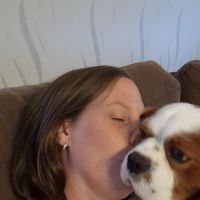 Hondenuitlaatdienst Diepenbeek: Steffi