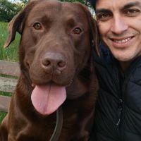 Hondenbaas Leuven van Juan Felipe Paredes Mera