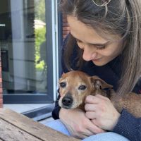 Hondensitter Boutersem: Tessa