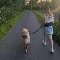 Hondenuitlaatdienst Heist-op-den-Berg: Fleur