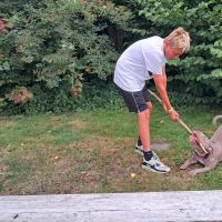 Hondensitter Nieuwpoort (West-Vlaanderen): Dilano