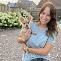Hondenuitlaatdienst Bocholt: Romy 