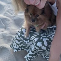 Hondensitter Mortsel: Alexia