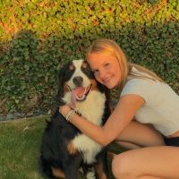 Hondensitter Ardooie: Margaux