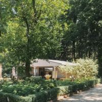 Hondenopvang Diest: Lisanne