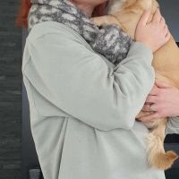 Hondensitter Wetteren: Sofie