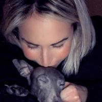 Hondenuitlaatdienst Wilrijk: Sofie
