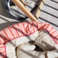 Hondenbaas Lier van Agnes Urban