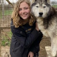 Hondensitter Roeselare: Lena