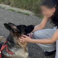 Hondensitter Kessel-Lo: Cornelia