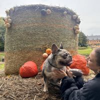 Hondenuitlaatdienst Antwerpen: Lina