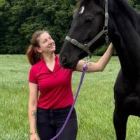 Hondenopvang Bree: Touchantille