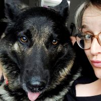 Hondensitter Schoten: Shelly