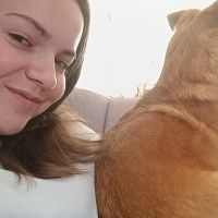 Hondenuitlaatdienst Gistel: Zita