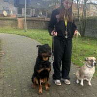 Hondensitter Mechelen: Fleur