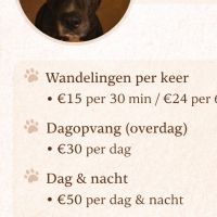 Hondensitter Gent: Nigel