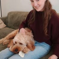 Hondensitter Oostende: Kato