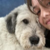 Hondensitter Gent: Laura