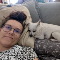 Hondenopvang Meulebeke: Toya