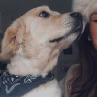 Hondenuitlaatdienst Wichelen: Sophie