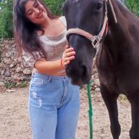 Hondenuitlaatdienst Jabbeke: Aremi Sanchez 