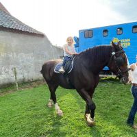 Hondensitter Smetlede: Eva