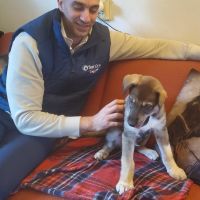 Hondensitter Mol: Nicolas