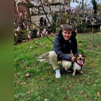 Hondenopvang Lede: Shelby