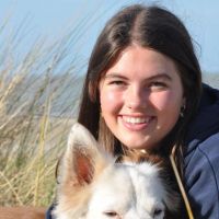 Hondensitter Assebroek: Juliette