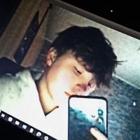 Hondenopvang Antwerpen: Aiden