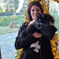 Hondensitter Kalmthout: Ivy