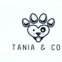 Hondenopvang Aalst: Tania