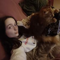 Hondensitter Oostakker: Lola