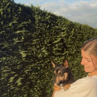 Hondensitter Bornem: Lore