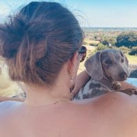 Hondensitter Varsenare: Yme