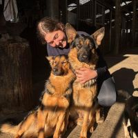 Hondensitter Gavere: Laina