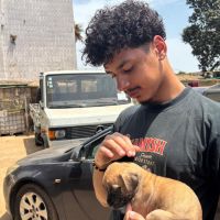 Hondensitter Berchem (Antwerpen): Samba