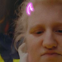 Hondensitter Temse: Amy