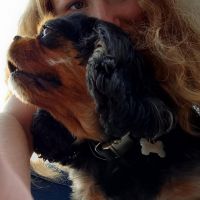 Hondensitter Lessines: Fem