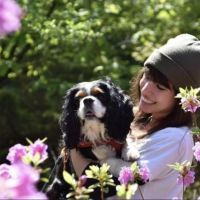 Hondensitter Hasselt: Margot