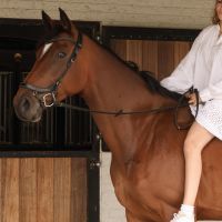 Hondensitter Brugge: Sherazade
