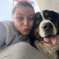Hondensitter Beersel: Zara