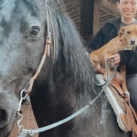 Hondensitter Geel: Leyla
