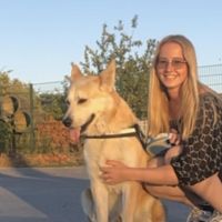 Hondensitter Deinze: Aisha