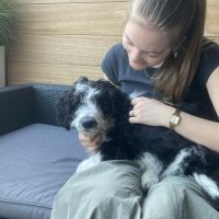 Hondensitter Turnhout: Emelie
